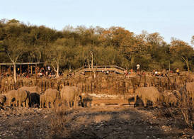 Halali Resort 3