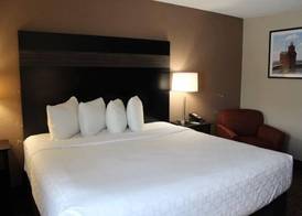 AmericInn by Wyndham Holland MI 4