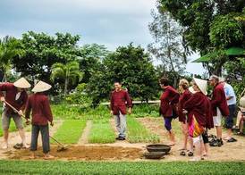 Tue Tam Garden Villa 3