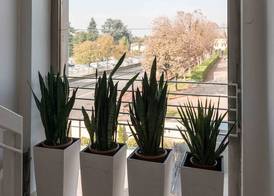 Berghotel 2
