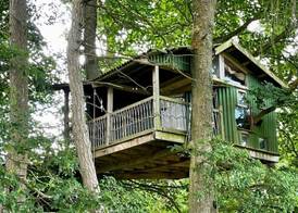 Owl Lodge 2