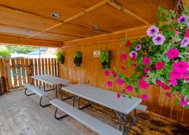 Rustic Inn 5