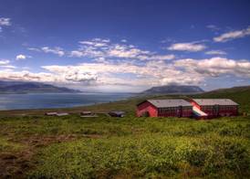 Hotel Glymur 5