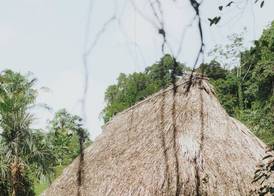 Jade Jungle Resort 4