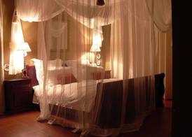 Plumbago Guest House 3