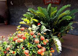 Pousada Pedra Rosa 2