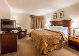 Quality Inn & Conference Centre Red Deer - 50th Avenue 5