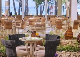 Hotel Aurora Plava Laguna 3