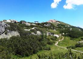 Alpenhotel Marcius 5