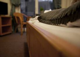 Hotel Zur Burg Sternberg 5