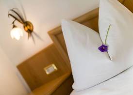Hotel Bergkristall 3