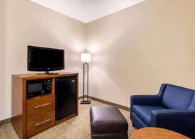 Comfort Inn & Suites IAH Bush Airport - East 4