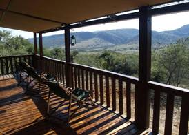 Pure Nature Familodge 5