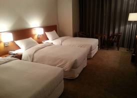 Seoul Rex Hotel 4