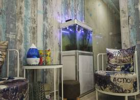 DreamCatchers Home 5