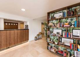 Roca Verde by Folias Hotels - Playa del Inglés 4