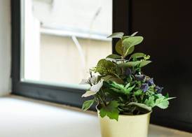 easy-flat Augarten - Apartments near Danube and Metro 4