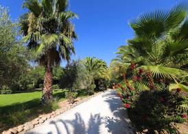 Villa Al Assala Palmeraie 3