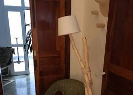Cactus Host 2