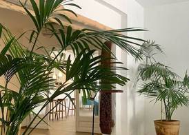 Hotel Tagomago 3