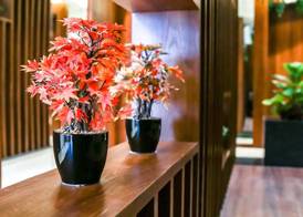 AR Suites Jewels Royale - Koregaon Park NX 5