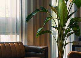 Art House Hotel 3