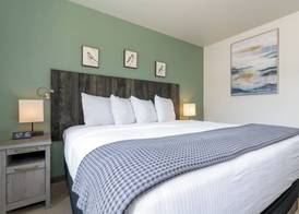 MTN Lodge Ridgway 3