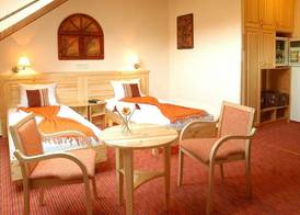Hotel Manzard Panzio 5