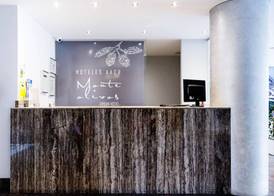 AACR Hotel Monteolivos 5