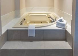Holiday Inn & Suites ST. CATHARINES CONF CTR by IHG 3