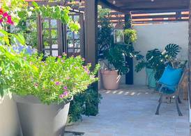 Aruba Lagunita 3