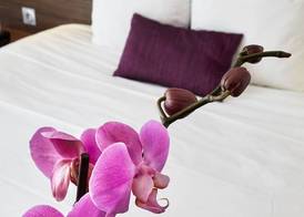 Hotel Libera Spa et Restaurant Caen Colombelles 4