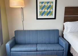 Holiday Inn Express & Suites MOBILE - UNIVERSITY AREA by IHG 4