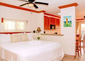 Mayan Princess Hotel 3