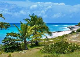 Surfers Bay 4