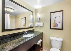 Comfort Suites Knoxville West - Farragut 5