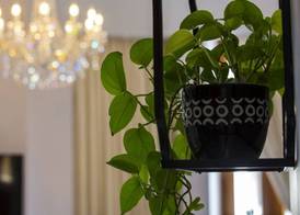 La Concordia Boutique Hotel 3