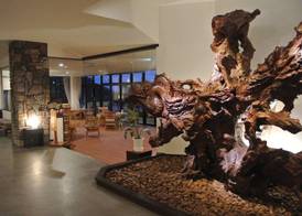 Yakushima Green Hotel 3