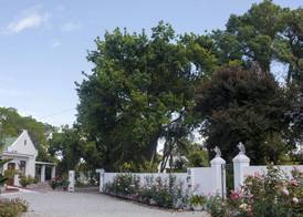 Green Olive Guesthouse 2