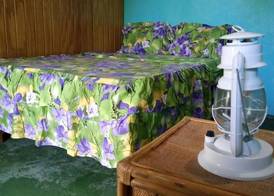 Berkey's Jungle Paradise 3