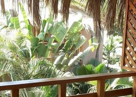 LOS CORALES 4