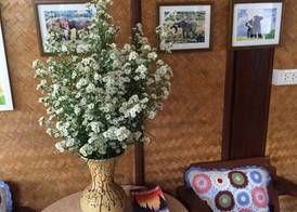 Little Home Guesthouse 3