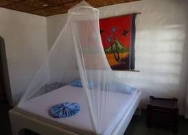 Little Mermaid Dive Resort 4