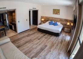Mod Hotels Mendoza 3