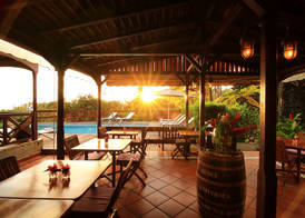Jardin Malanga 4