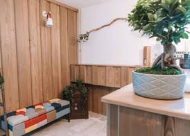 Apartmaji Triglav 3
