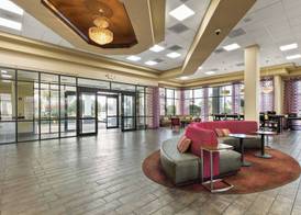 Orlando Palms 2