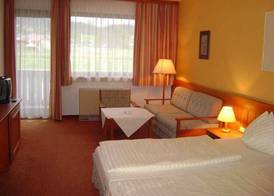 Vitalhotel Gosau 2