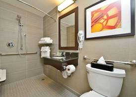 Holiday Inn NYC - LOWER EAST SIDE by IHG 5