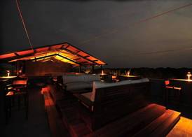 Cinnamon Wild Yala 2